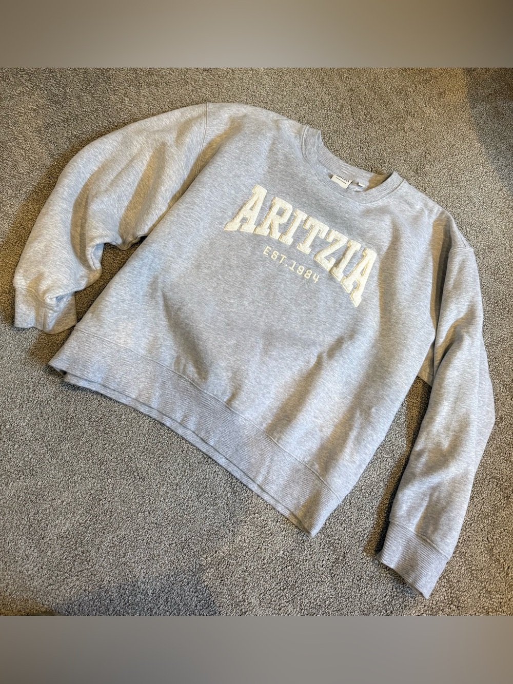 Aritzia Crewneck sweatshirt